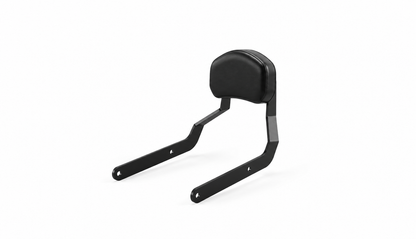 Triumph Scrambler 400 X Sissy Bar