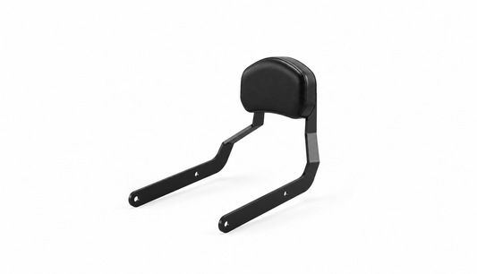 Triumph Scrambler 400 X Sissy Bar
